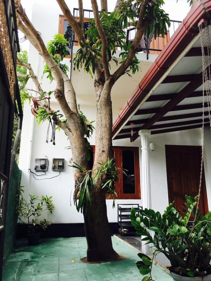 House Of Seya Bed and Breakfast Negombo Buitenkant foto