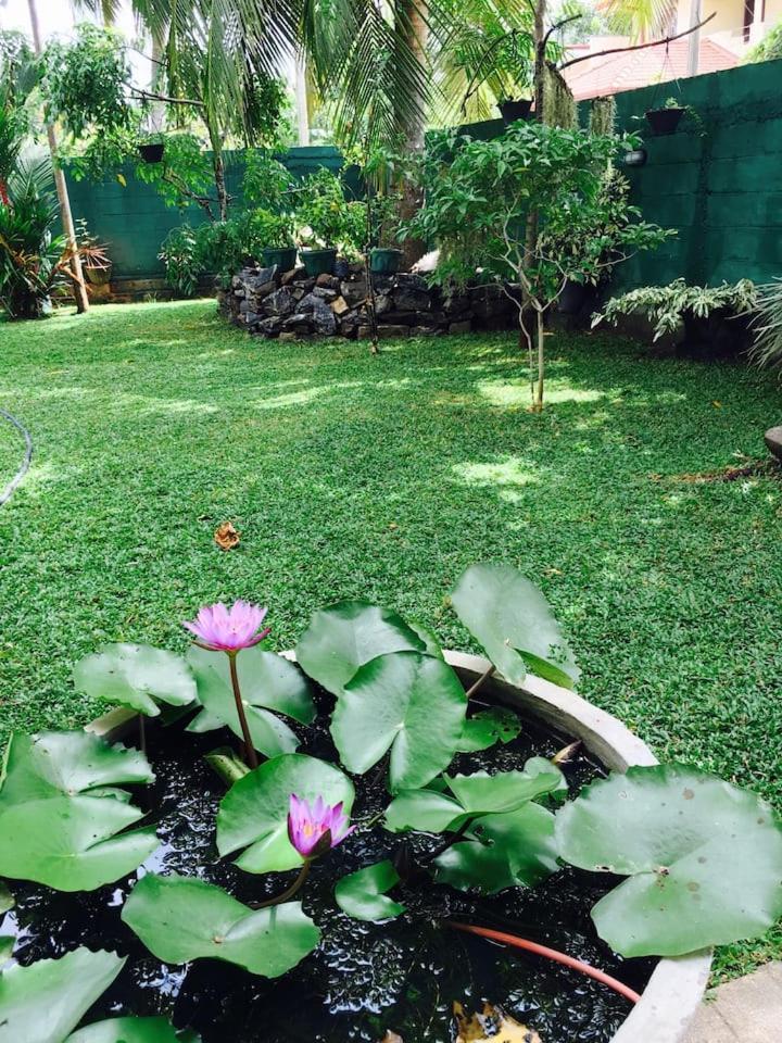 House Of Seya Bed and Breakfast Negombo Buitenkant foto