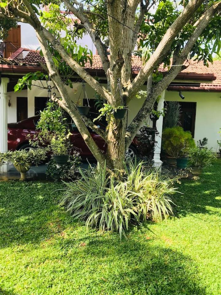 House Of Seya Bed and Breakfast Negombo Buitenkant foto
