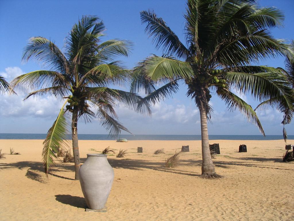 House Of Seya Bed and Breakfast Negombo Buitenkant foto